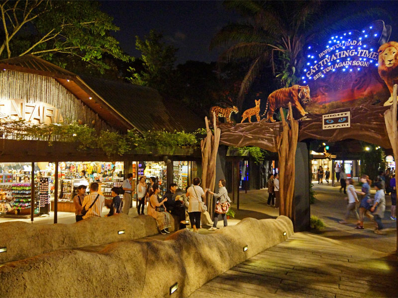 Ночное сафари в Сингапуре