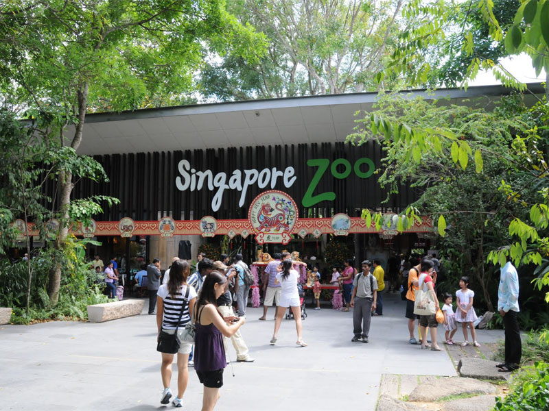 Зоопарк Сингапура - обладатель многочисленных высоких международных наград