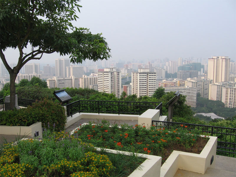 С обзорной точки на вершине Mount Faber Park открывается панорамный вид на весь Сингапур
