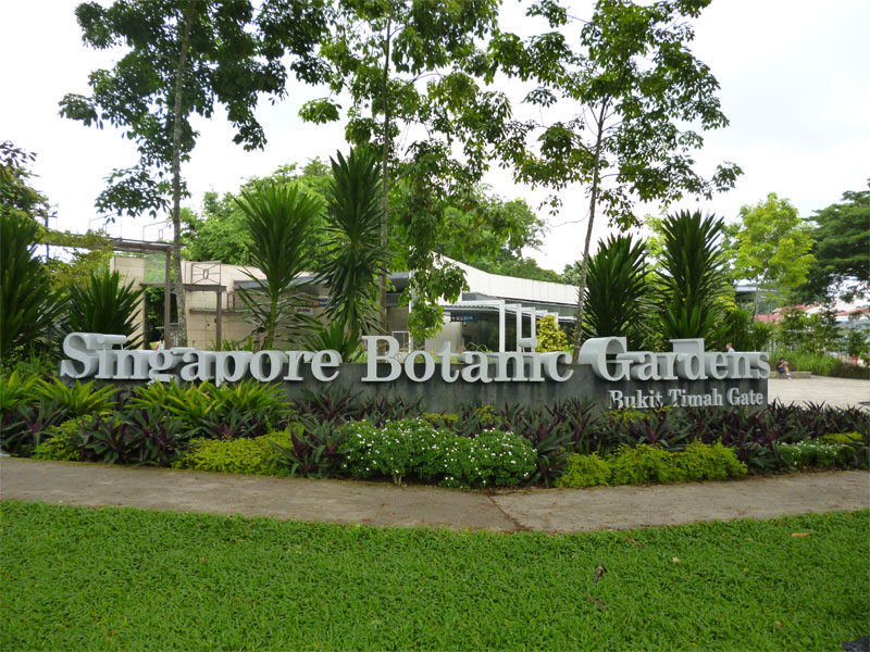 Ботанические сады - это старейший парк на территории Сингапура