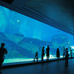 Океанариум S.E.A. Aquarium