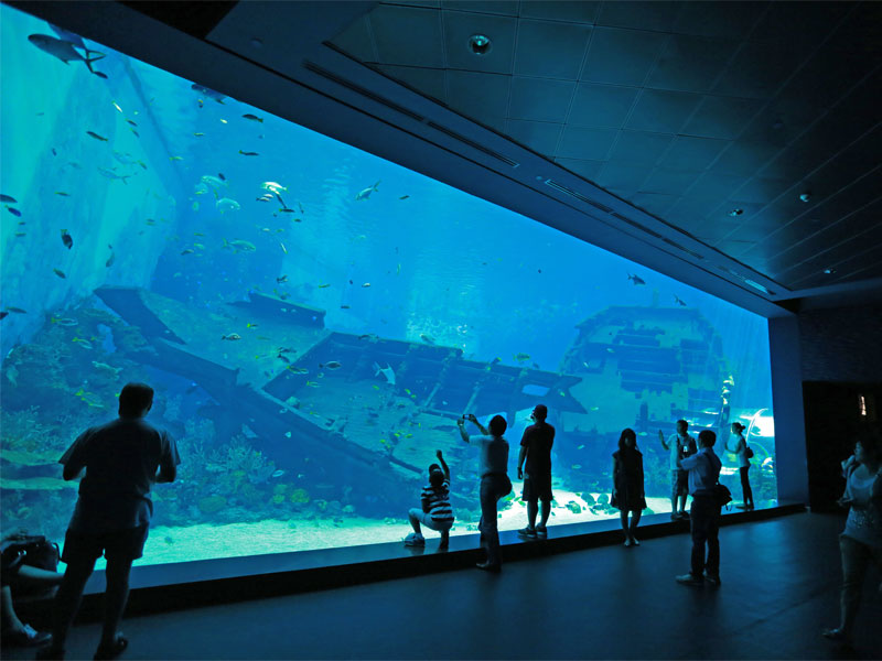 Центральный аквариум S.E.A. Aquarium в Сингапуре имеет самую большую в мире панорамную панель обзора