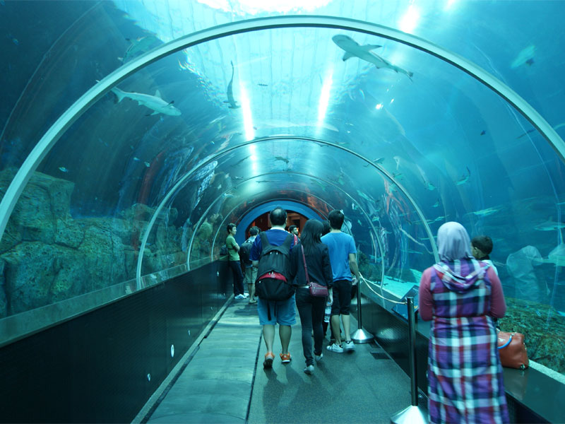 Океанариум S.E.A. Aquarium в Сингапуре