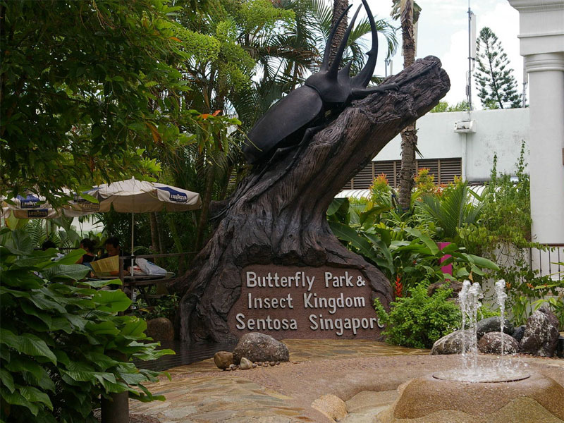 Сингапурский парк бабочек - это настоящее царство гигантских насекомых