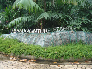 Природный заповедник Лабрадор в Сингапуре